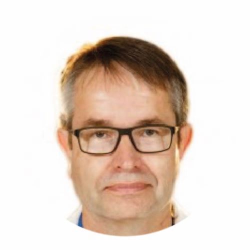 Lee L. Swanström Lee L. Swanström